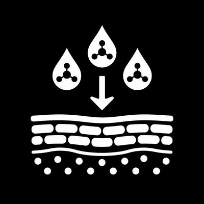 ENTREGA 